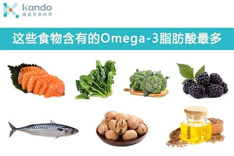 含 omega 3 食物